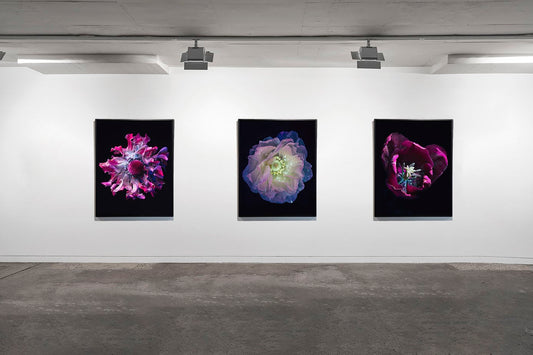 Influorescence | Kate Ballis and Tom Blachford