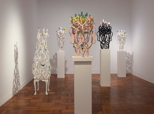 Sidney Myer Fund Australian Ceramic Award at Shepparton Art Gallery