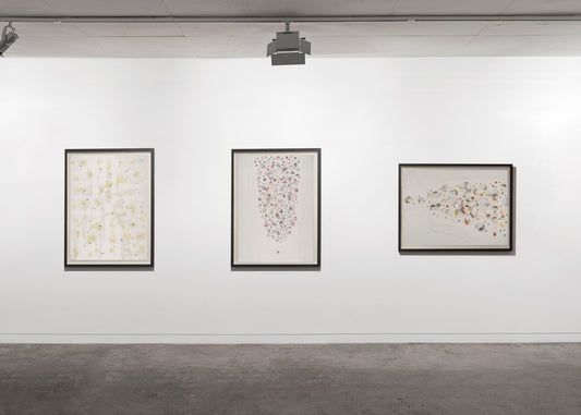 Musica Callada | Ian Friend