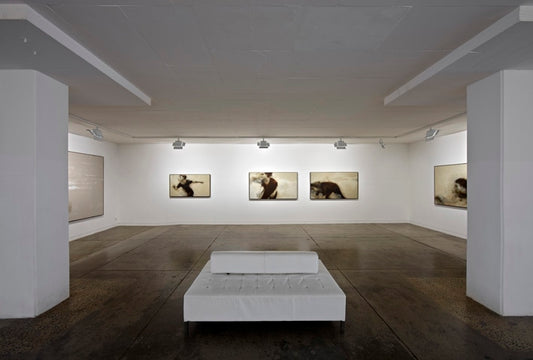 Frontier | Rachel Coad