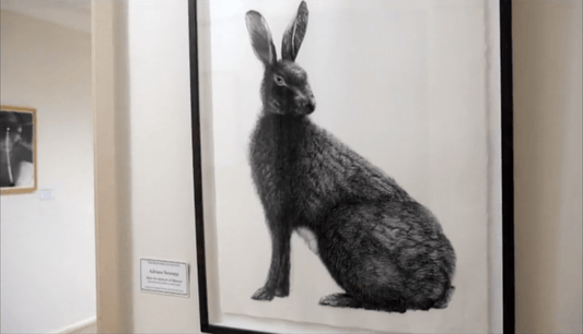 Kedumba Drawing Award 2010 | Kedumba Gallery NSW