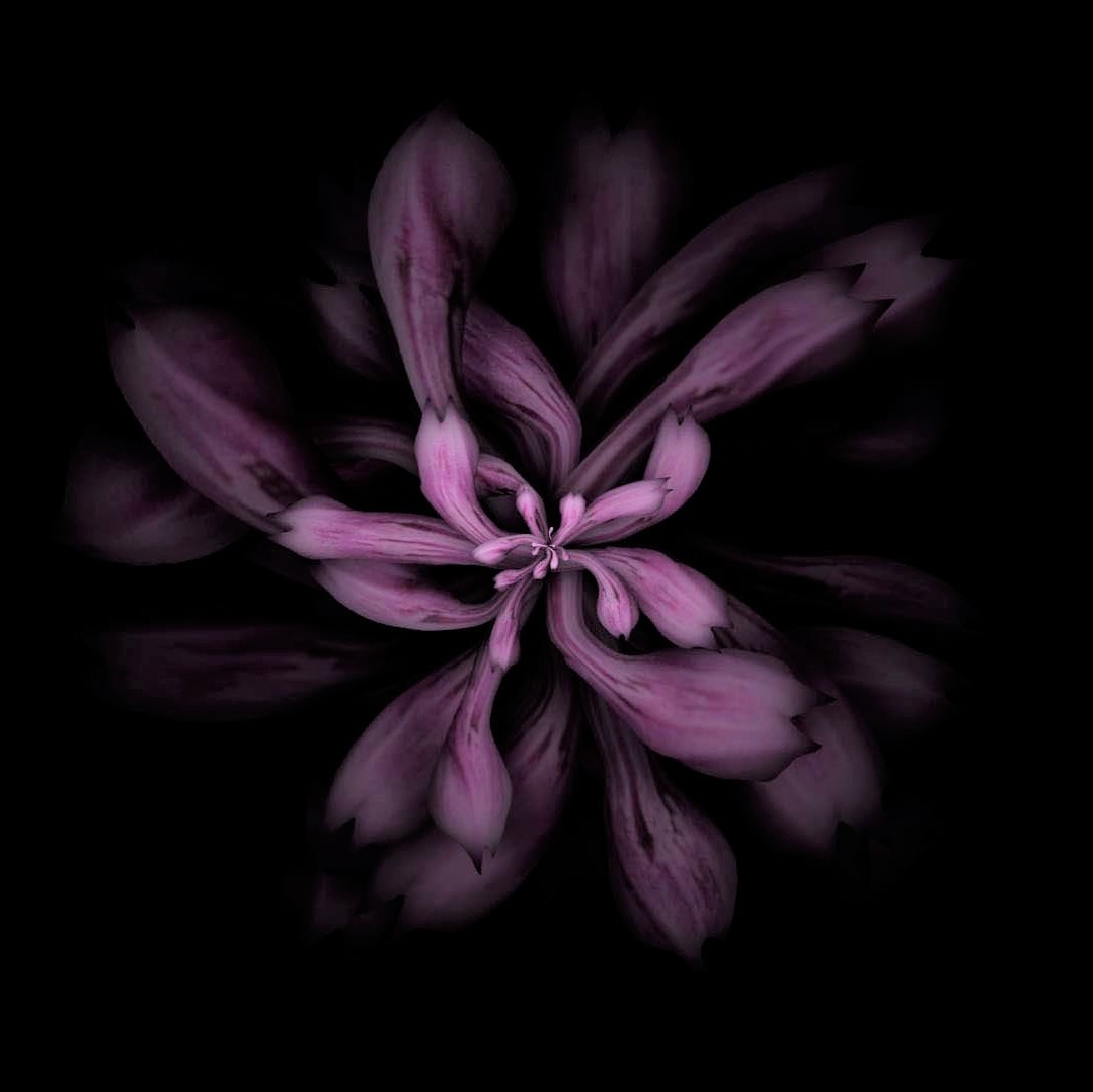 Every NoThing | Catherine Nelson