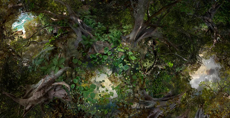 Catherine Nelson, Pond, 150x300cm