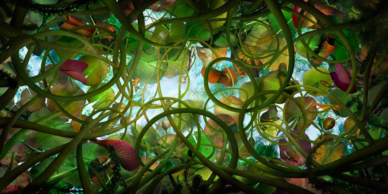 Catherine Nelson, from the series, Submerged