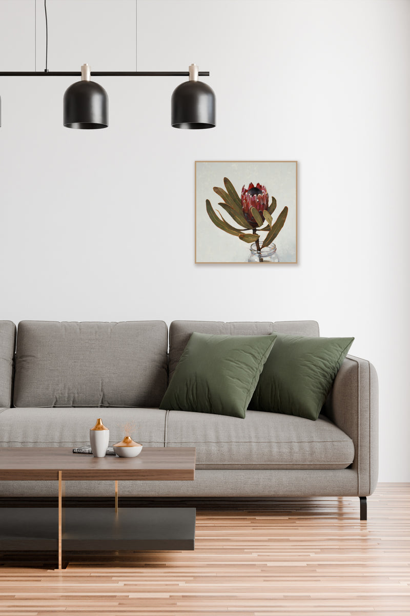 Protea
