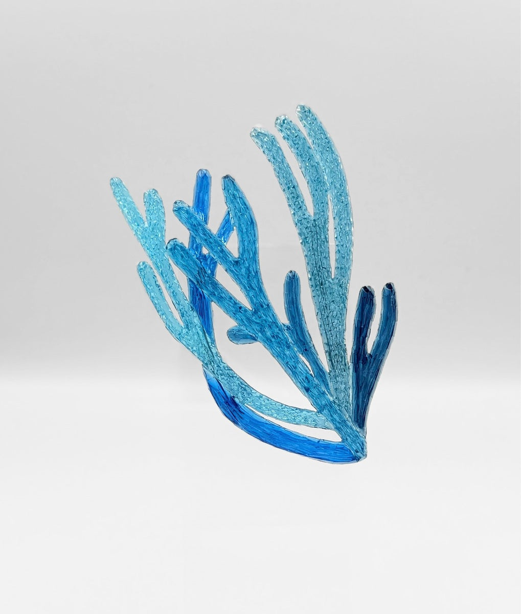 Large Codium Galeatum Brooch | Kath Inglis