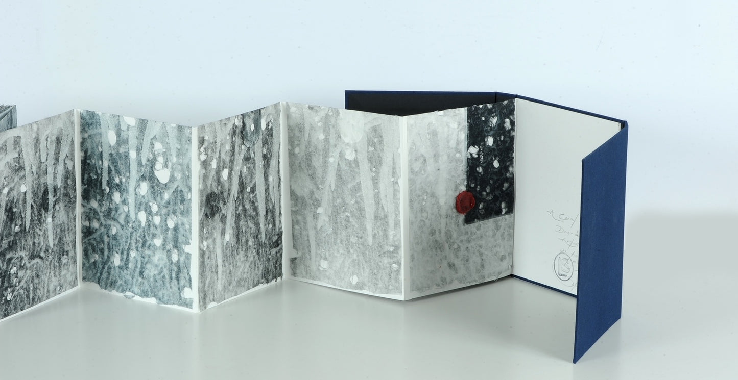 A Coral Symphony (Dos-à-dos Artist Book)