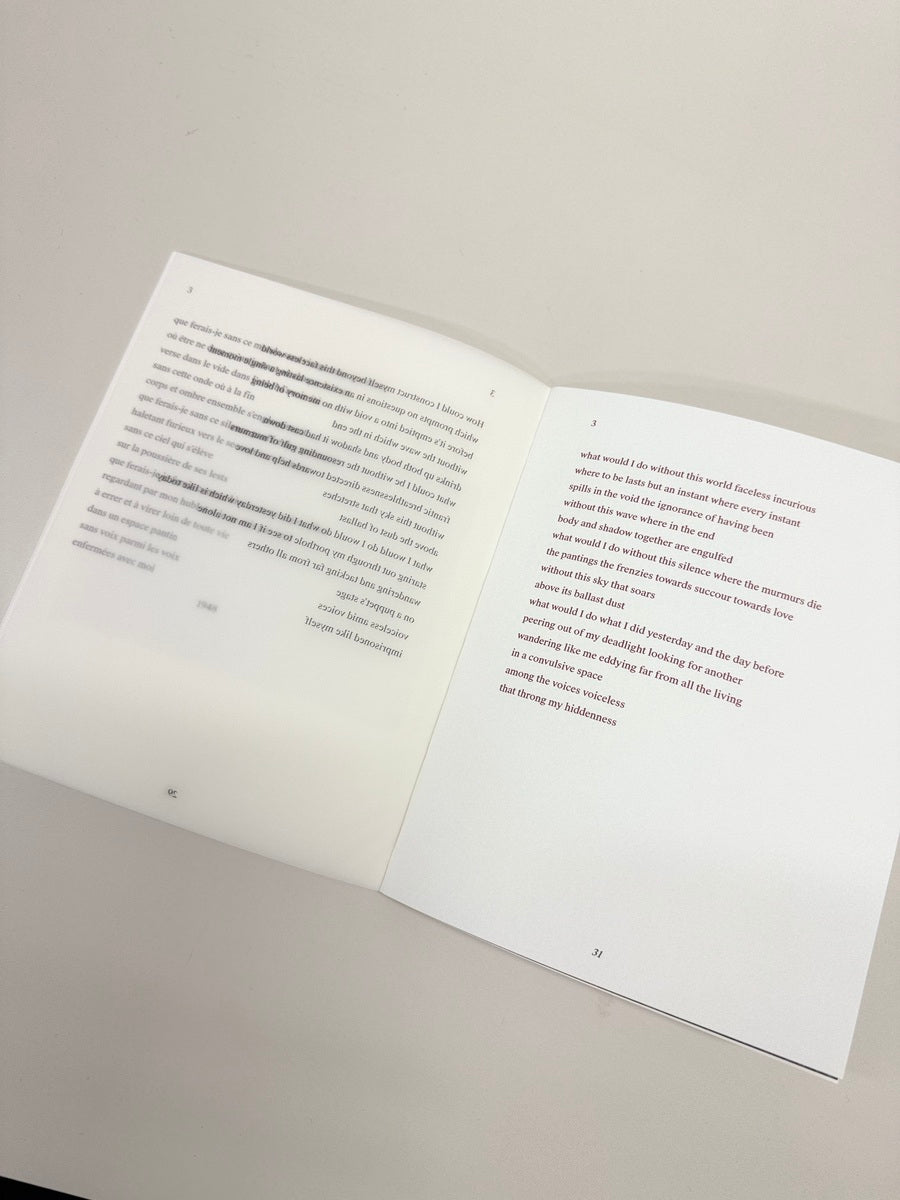 Samuel Beckett 4 Poems, translated poems with artworks by Ian Friend