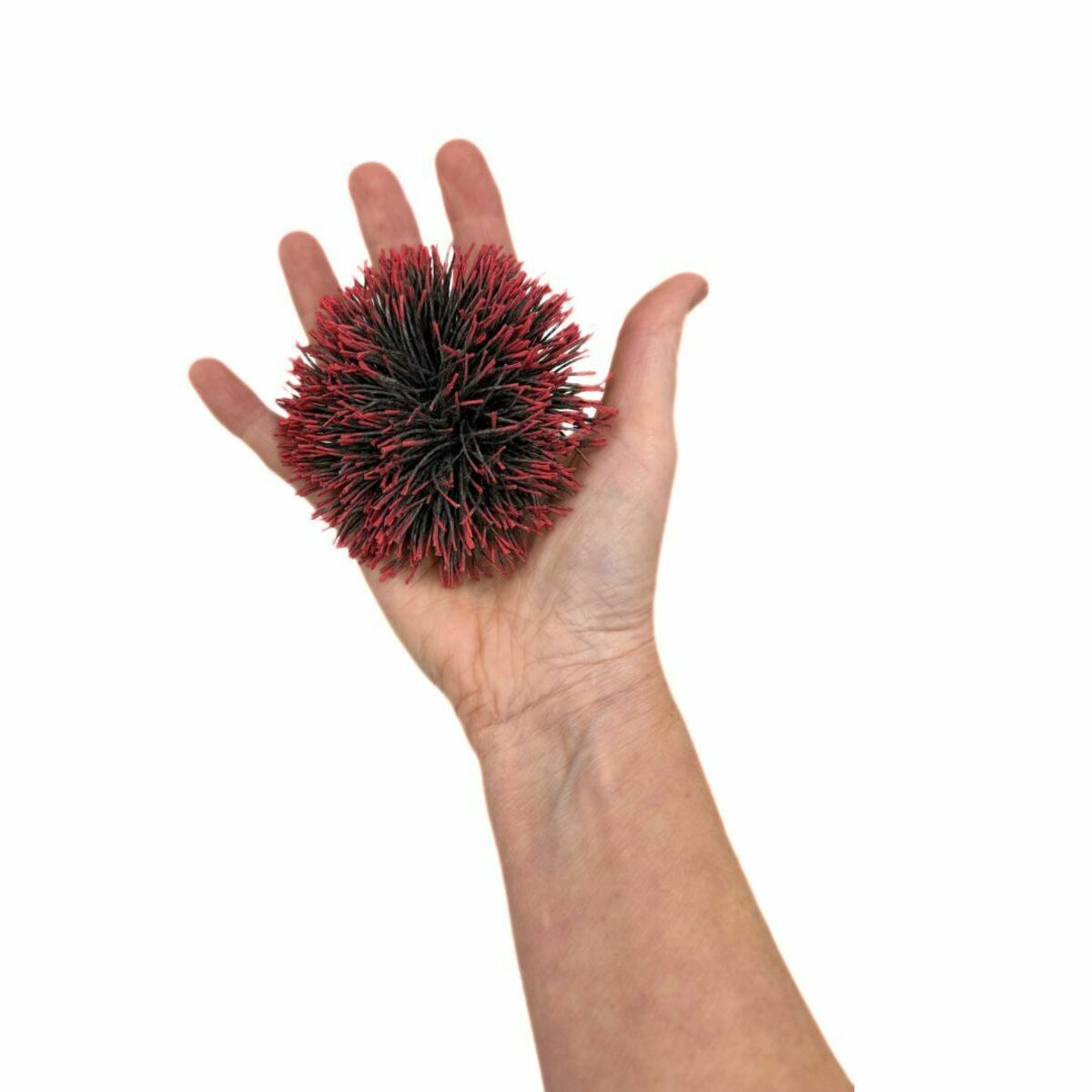 Wintery Wattle Brooch | Vicki Mason