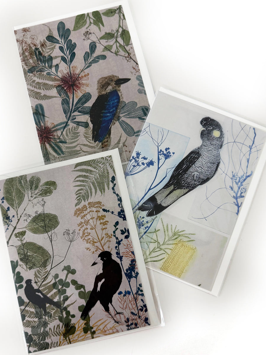 Selection of Three Native Bird Greeting Cards | Trudy Rice