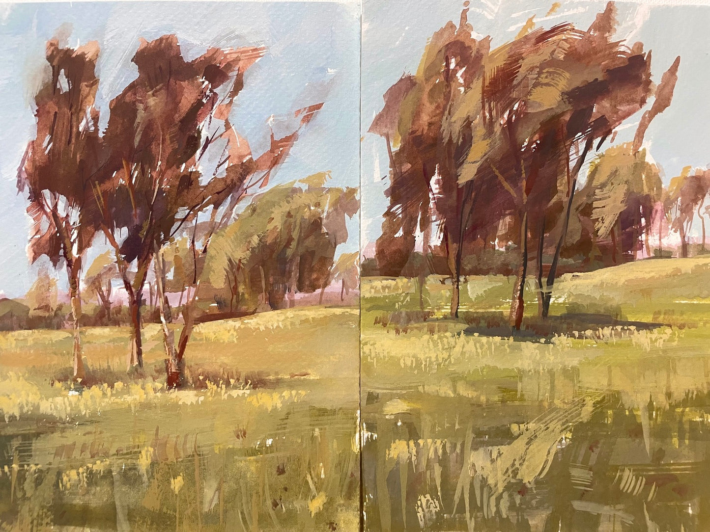Summer Field
