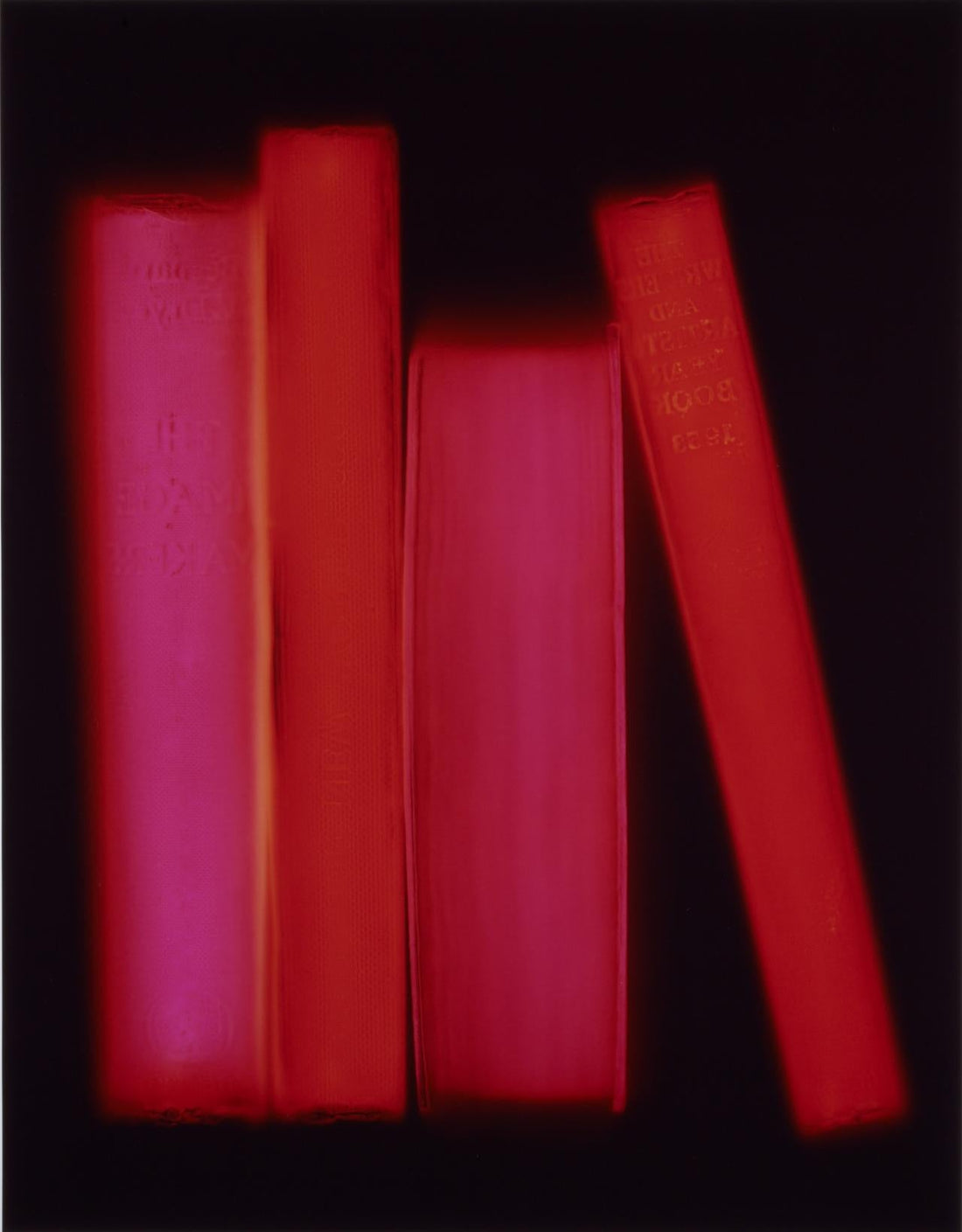 NGV Photography Survey