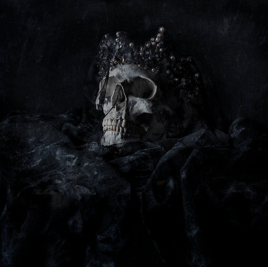 SOLO EXHIBITION 'Queens and Conquests' AT EDITH COWAN UNIVERITY