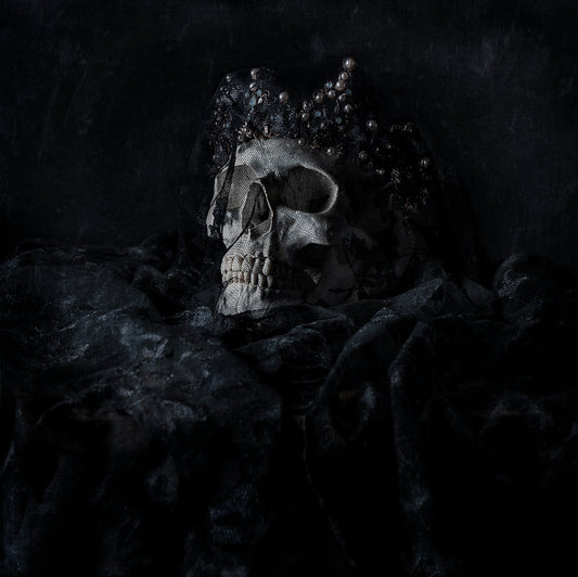 SOLO EXHIBITION 'Queens and Conquests' AT EDITH COWAN UNIVERITY