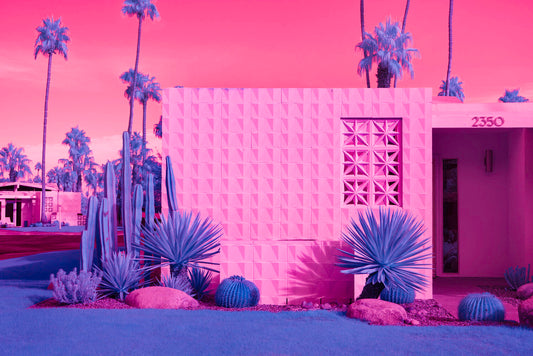 LOST IN PALM SPRINGS