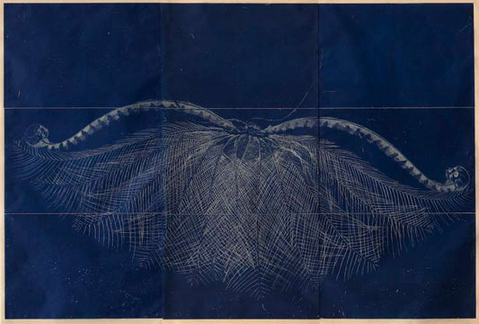 Martin King, Dawn Survey, indigo, 2015, etching, 90x134cm (editioned)