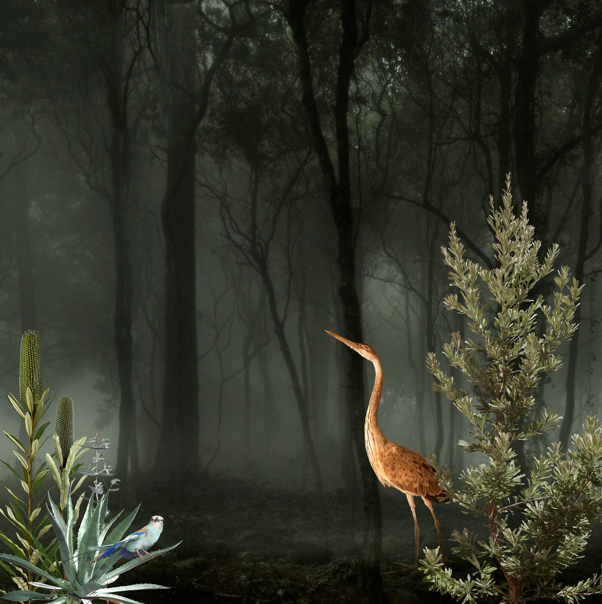 Unnatural Migrations #2