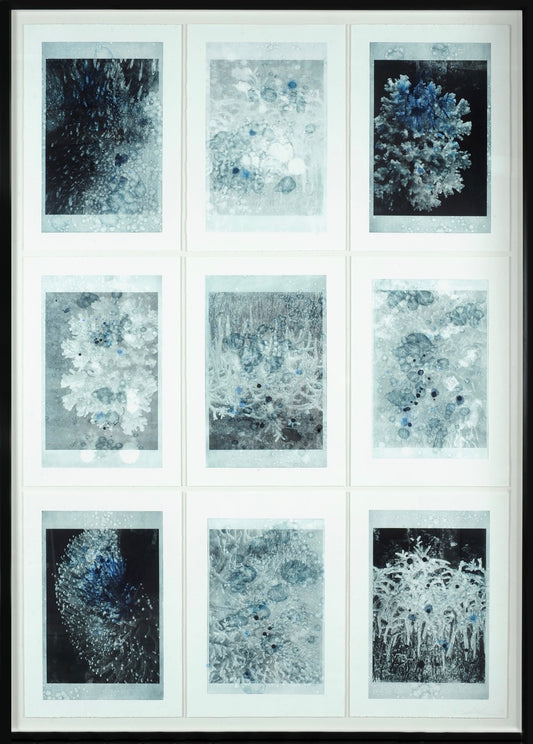 A Coral Symphony