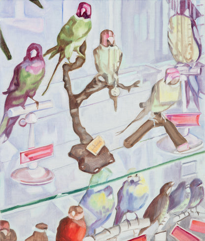 Bird Collecting #2