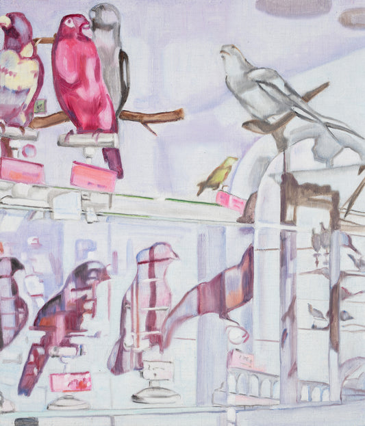 Bird Collecting #1