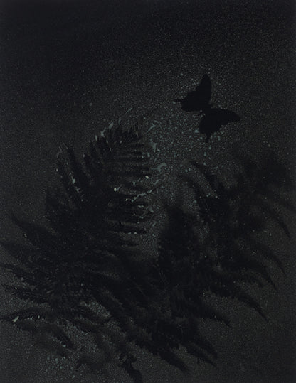Parramatta Ferns I