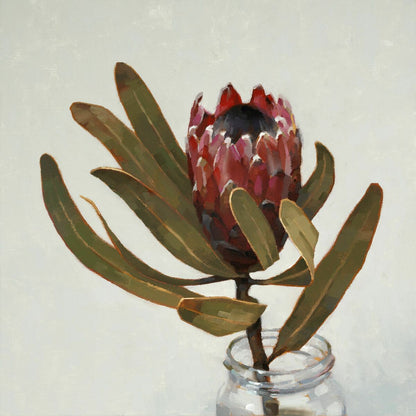 Protea