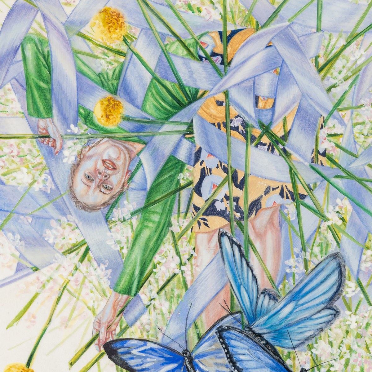 The Language of Butterflies