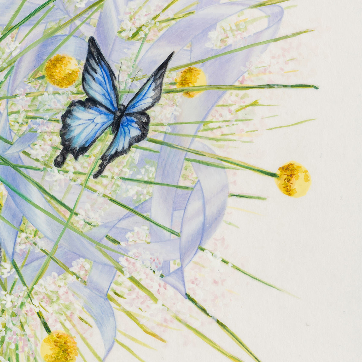 The Language of Butterflies