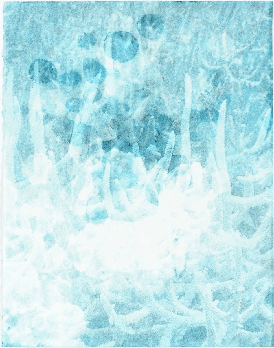 The Reef is a Creature