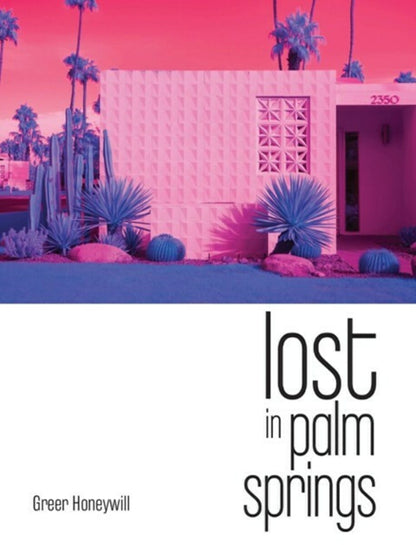 lost in palm springs | Greer Honeywill