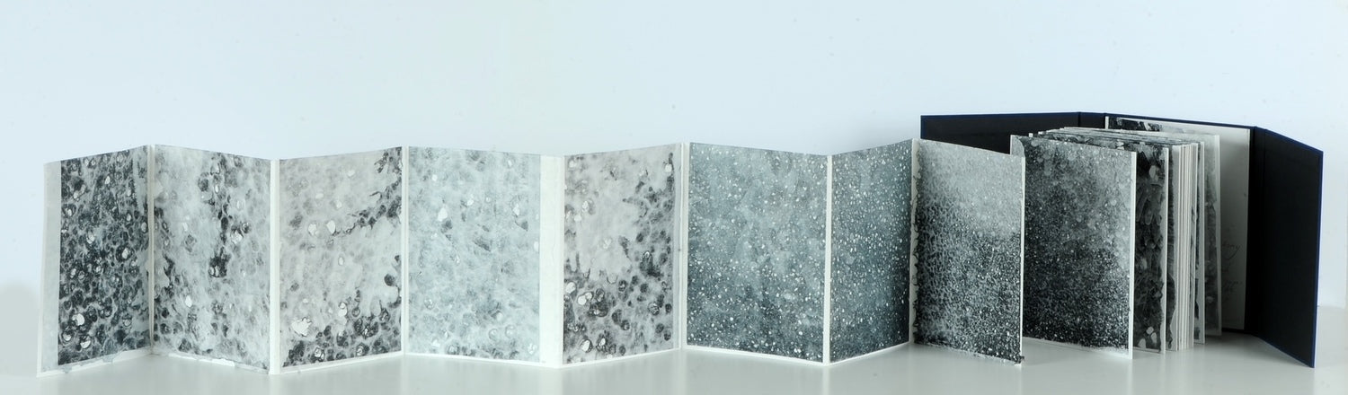 A Coral Symphony (Dos-à-dos Artist Book)