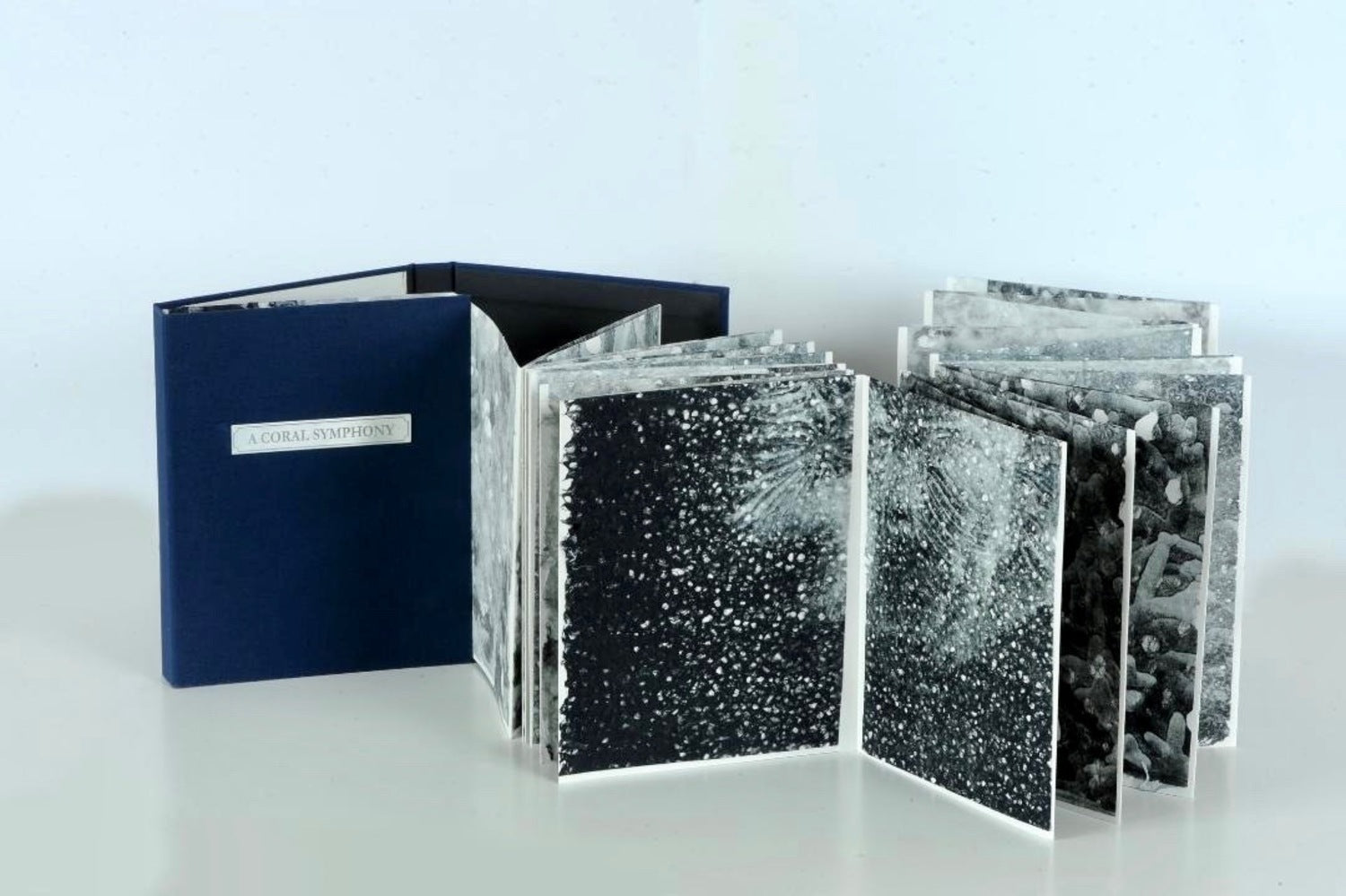 A Coral Symphony (Dos-à-dos Artist Book)