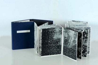 A Coral Symphony (Dos-à-dos Artist Book)