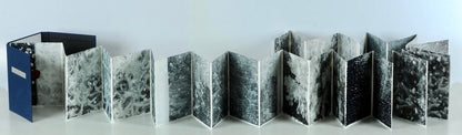 A Coral Symphony (Dos-à-dos Artist Book)