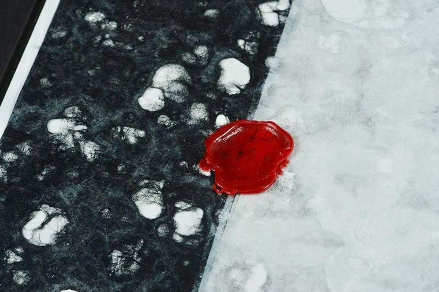 A Coral Symphony (Dos-à-dos Artist Book)