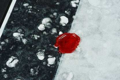 A Coral Symphony (Dos-à-dos Artist Book)