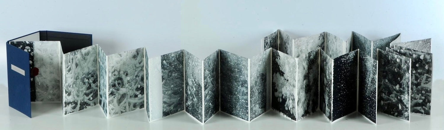 A Coral Symphony (Dos-à-dos Artist Book)