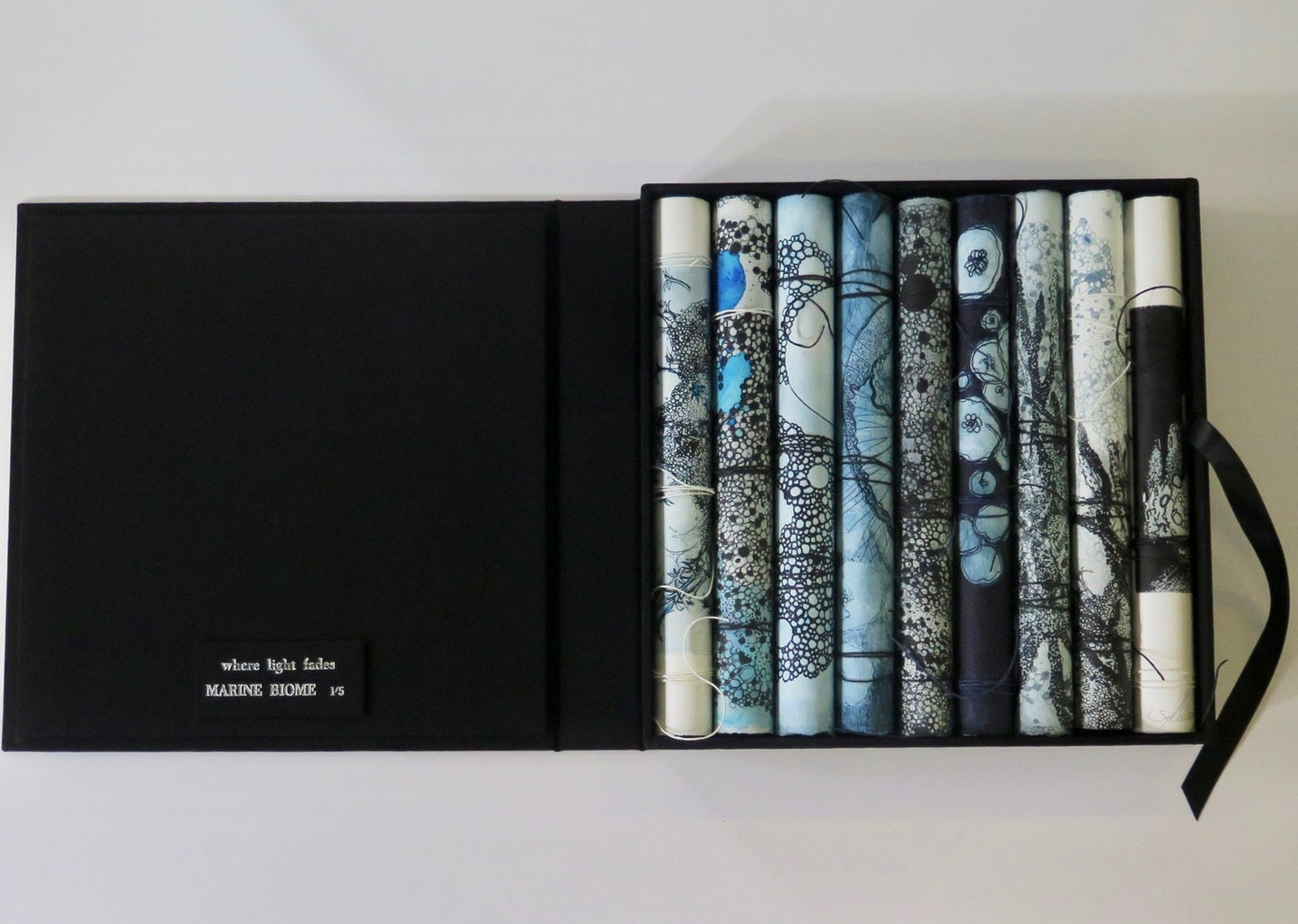 Where the Light Fades, Marine Biome (artist book)