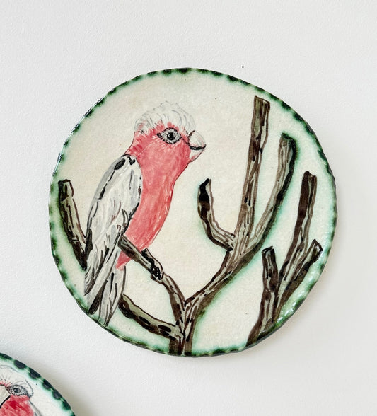 Galah in Bare Branches Plate