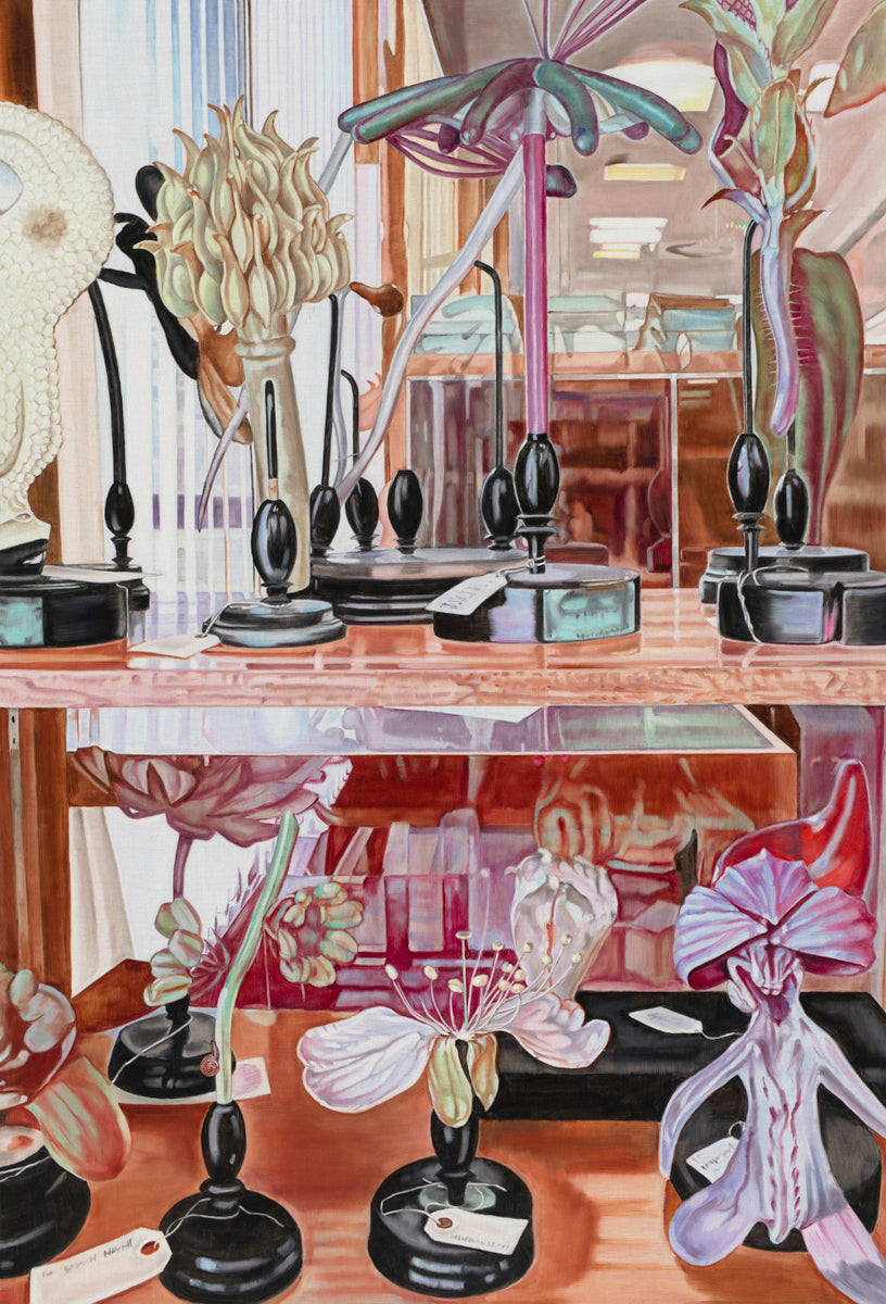 Museum Still Life with Snail