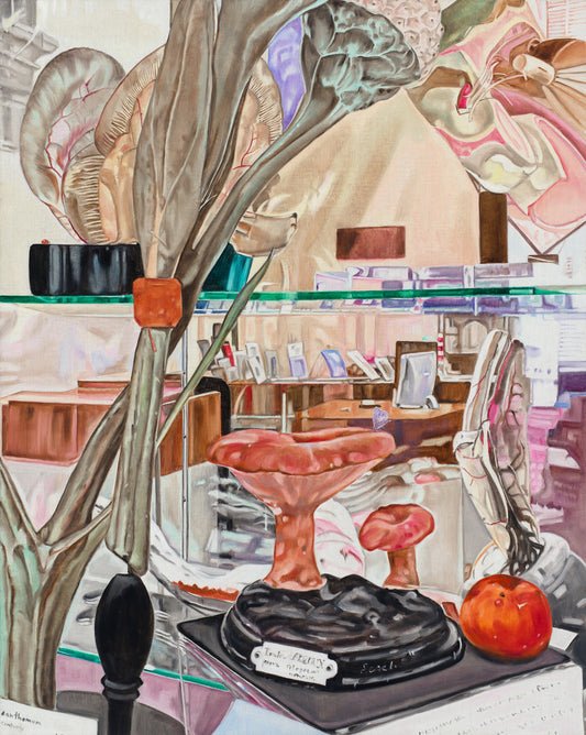 Museum Still Life with Ladybird and Moth