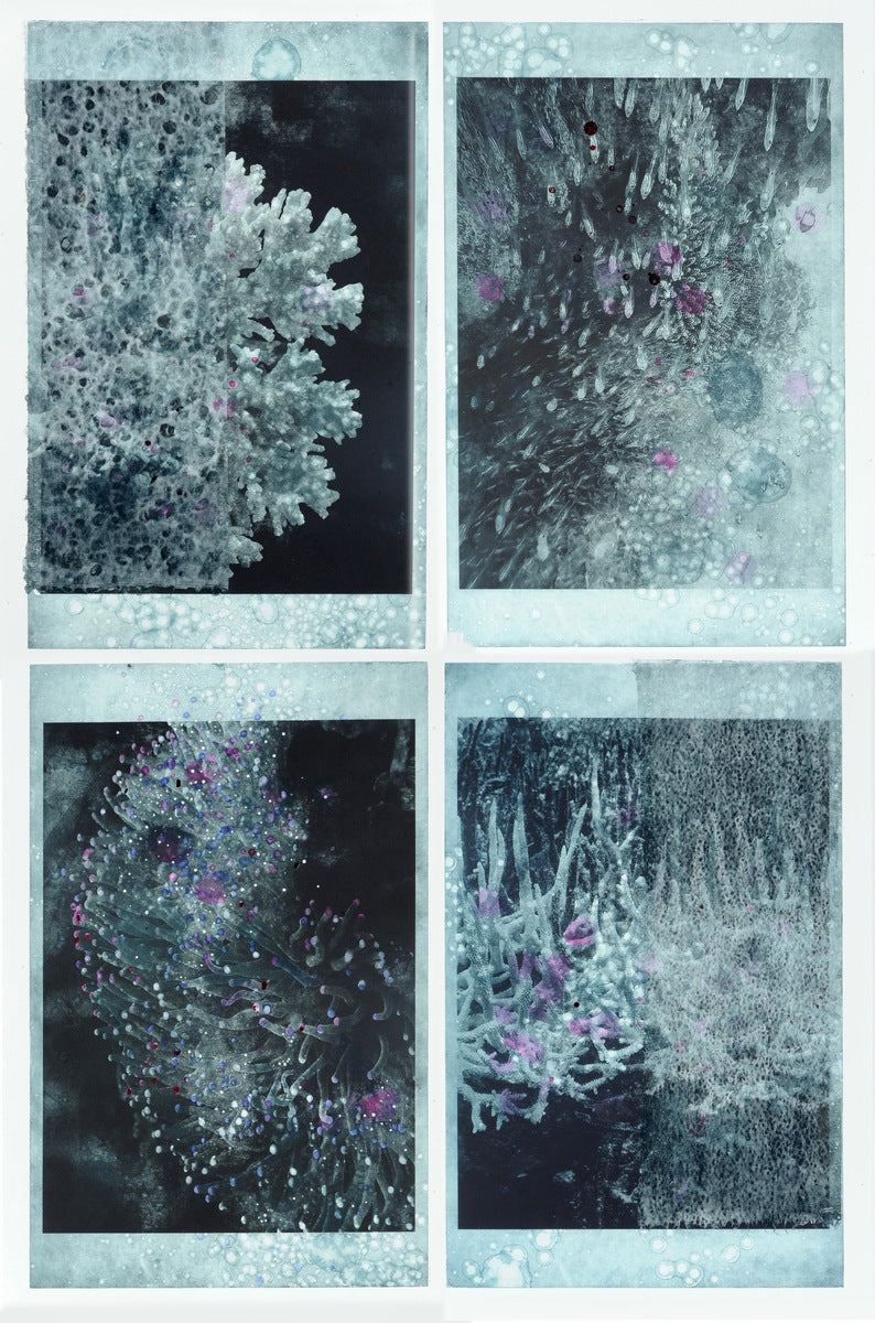 The Coral Hums