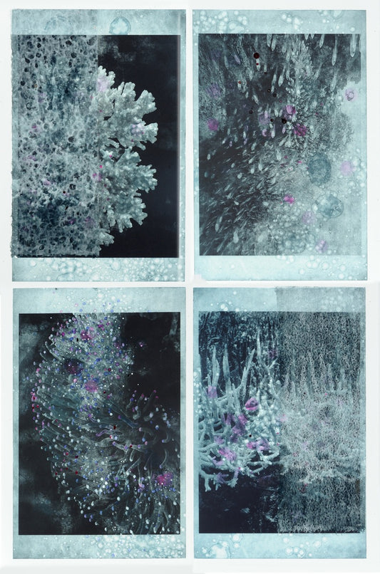 The Coral Hums