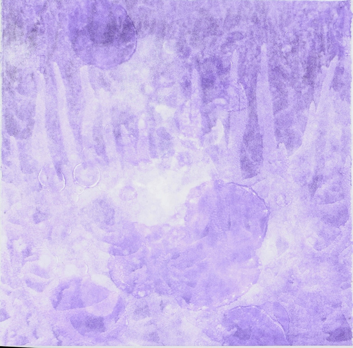 Coral Scent XI
