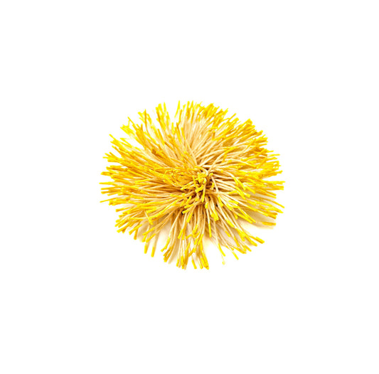 Sunshiny Wattle Brooch | Vicki Mason