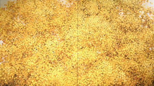 A Thousand Suns - Acacia Pulchella #2