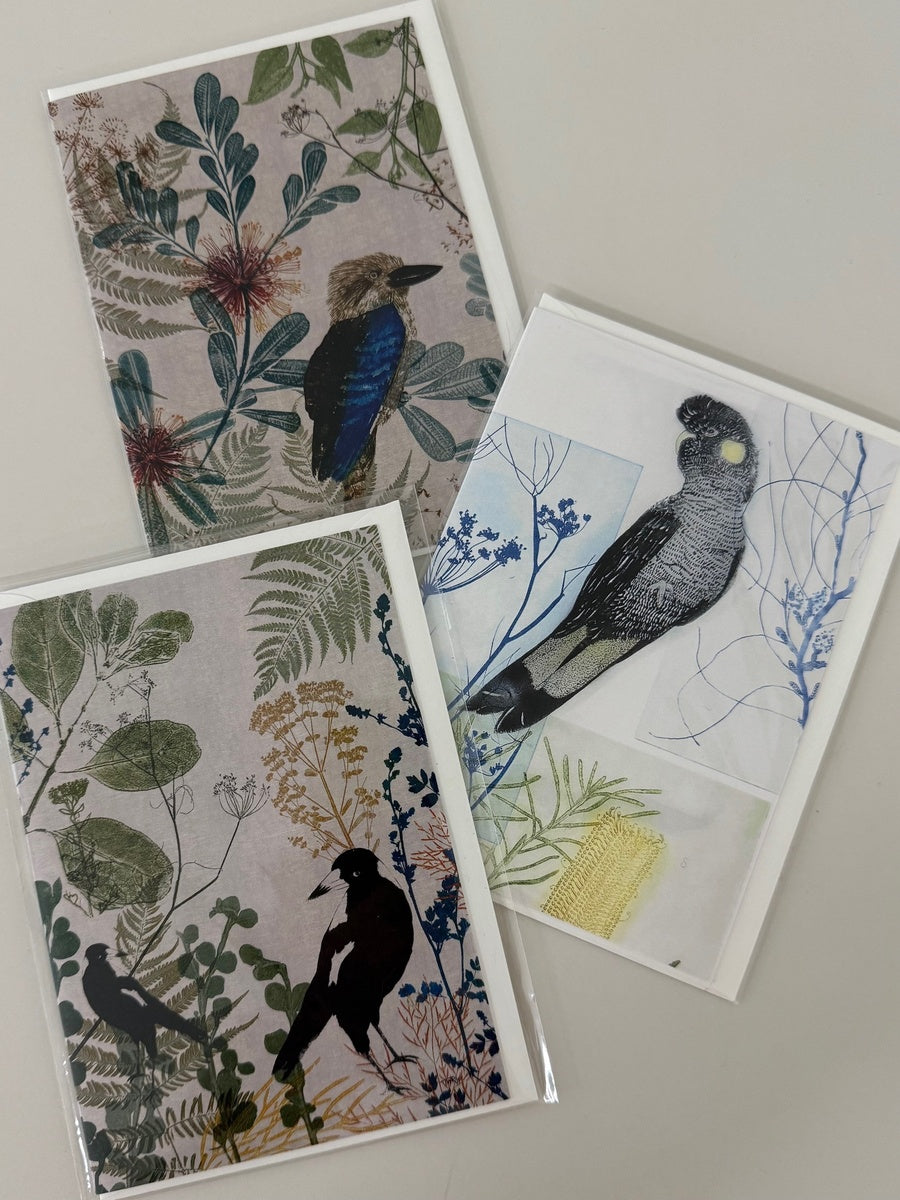 3 Native Bird Greeting Cards | Trudy Rice