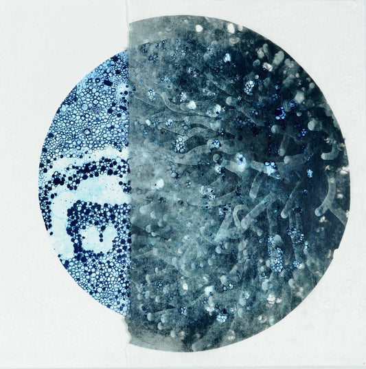 Coral Scent VIII