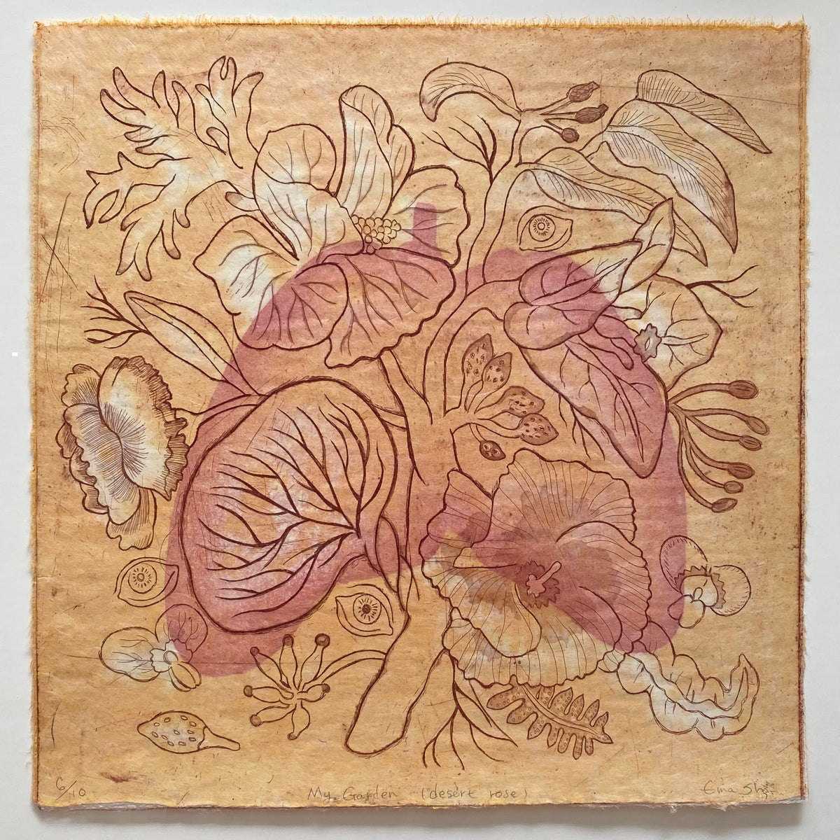 My Garden (Desert Rose)