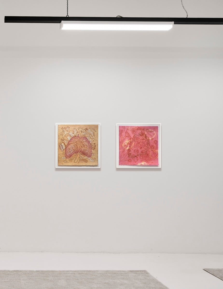 My Garden (Desert Rose)